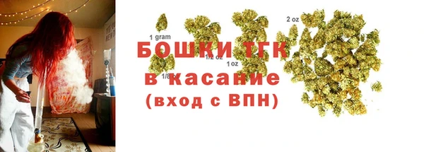 PSILOCYBIN Гусев