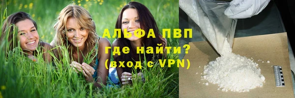PSILOCYBIN Гусев