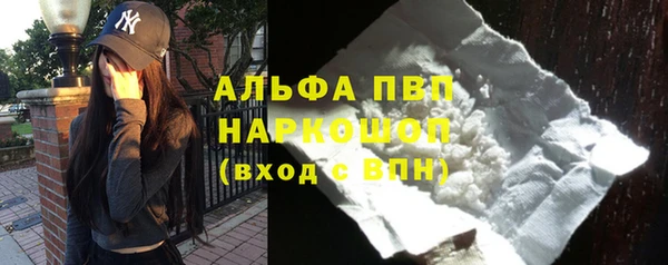 PSILOCYBIN Гусев