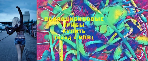 jwh Гусиноозёрск