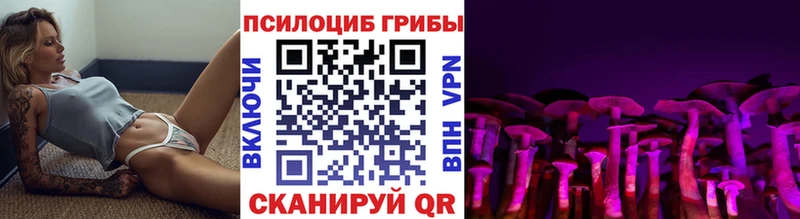 Псилоцибиновые грибы ЛСД  Купить  Ардон 